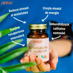 ansa™ – Ashwagandha, Magnez, B6