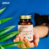 ansa-4-pic.jpg